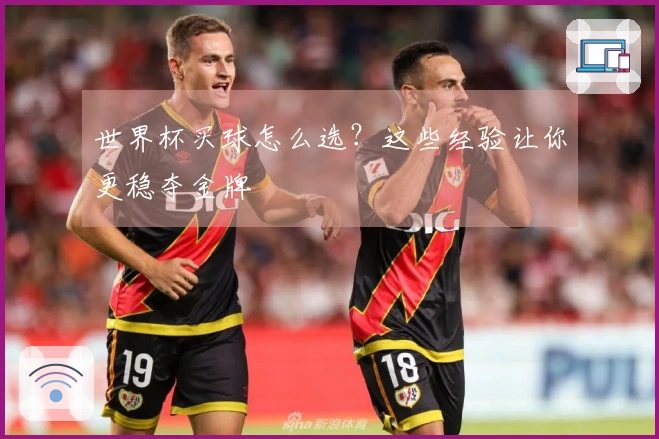 世界杯买球怎么选？这些经验让你更稳夺金牌
