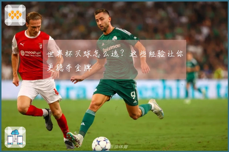 世界杯买球怎么选？这些经验让你更稳夺金牌