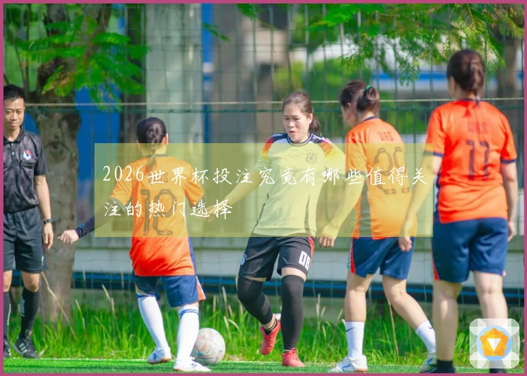 2026世界杯投注究竟有哪些值得关注的热门选择