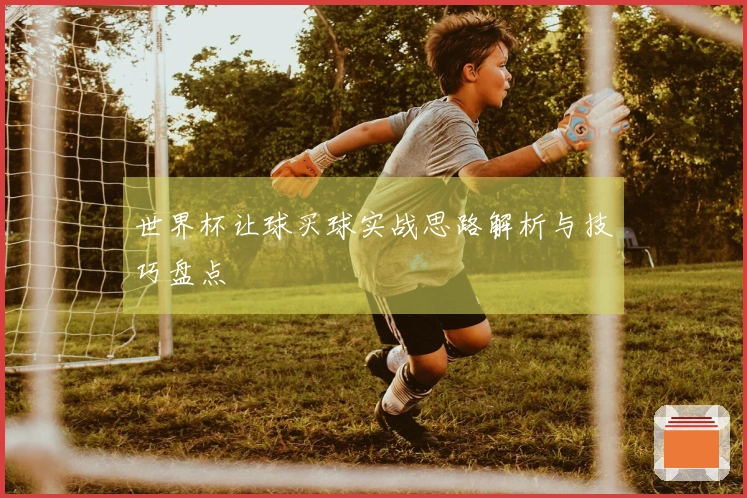 世界杯让球买球实战思路解析与技巧盘点